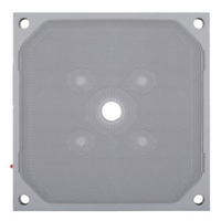 Plaque filtrante à membrane haute pression 1500 × 1500 mm